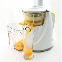 Hurom HU-100 Juicer